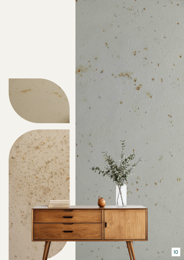 Premium Italian Wall Finishes - Natural Textured Finish with Modern Furniture